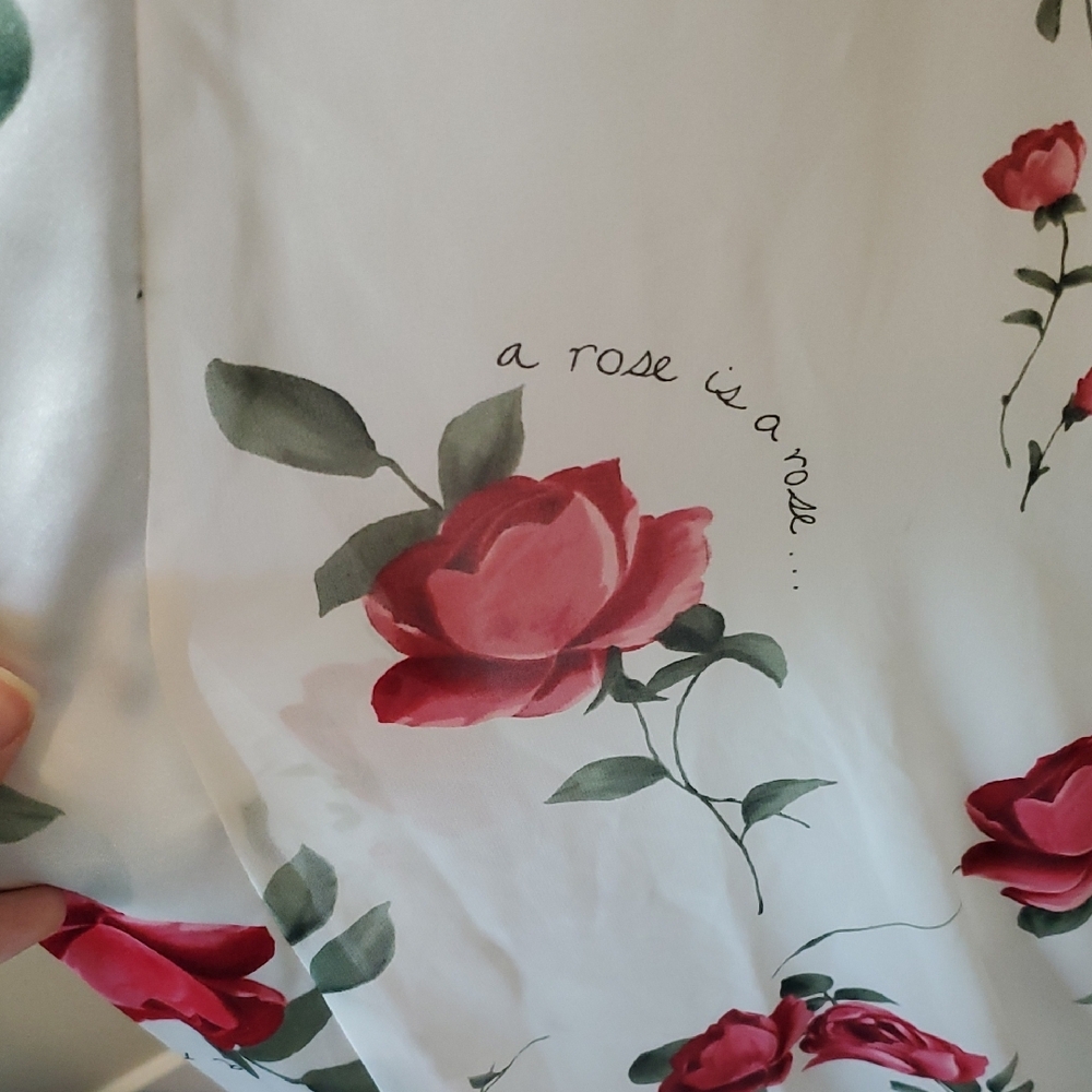 Delicates Floral Sheer Robe with Roses - Picture 2 of 4